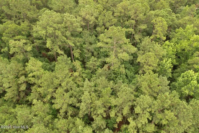 $60,000 | 0 Lake Cole Road, Midway Park, NC 28544