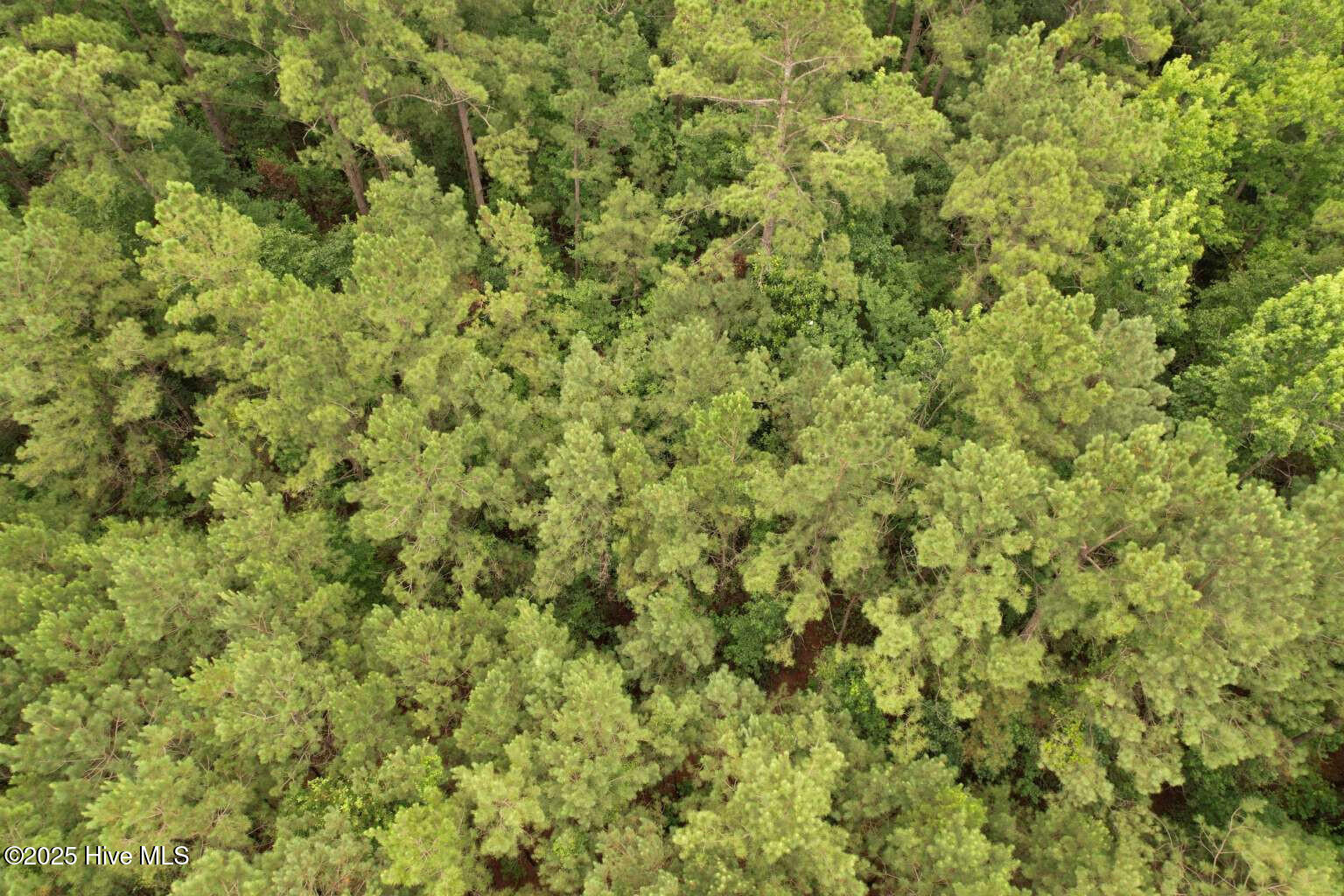 0 Lake Cole Road Midway Park, NC 28544 - Photo 16 of 21 Formosa.15