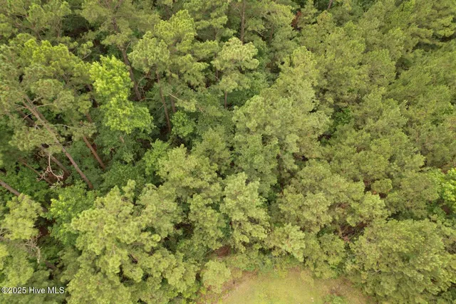 $60,000 | 0 Lake Cole Road, Midway Park, NC 28544