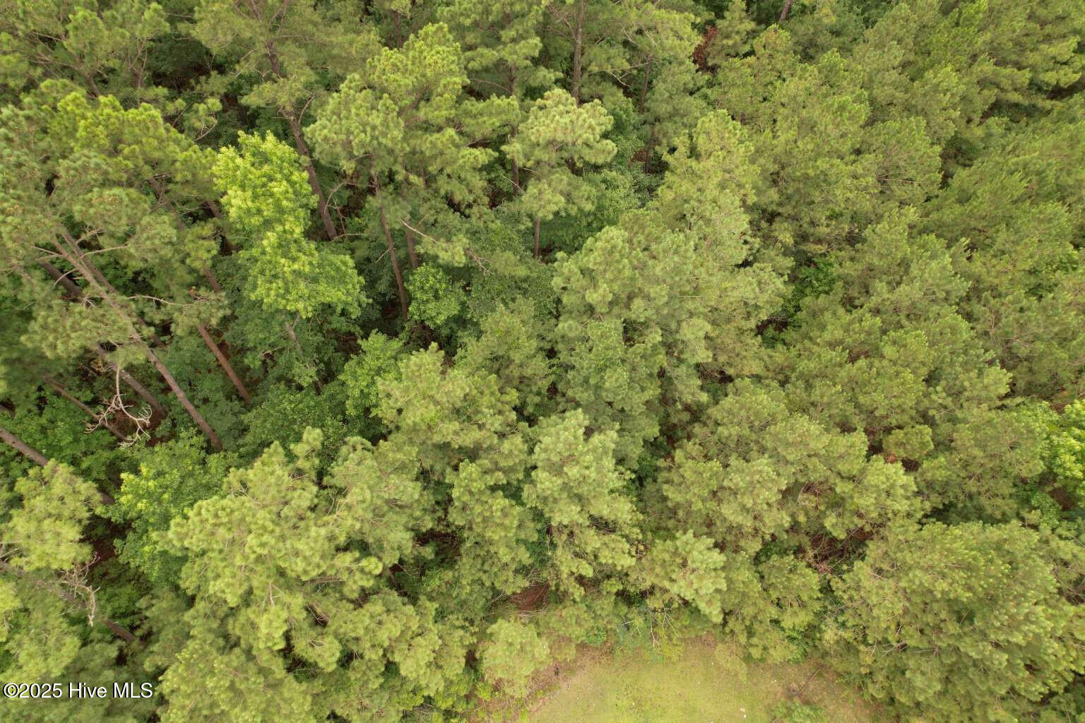 0 Lake Cole Road Midway Park, NC 28544 - Photo 17 of 21 Formosa.16