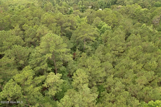 $60,000 | 0 Lake Cole Road, Midway Park, NC 28544