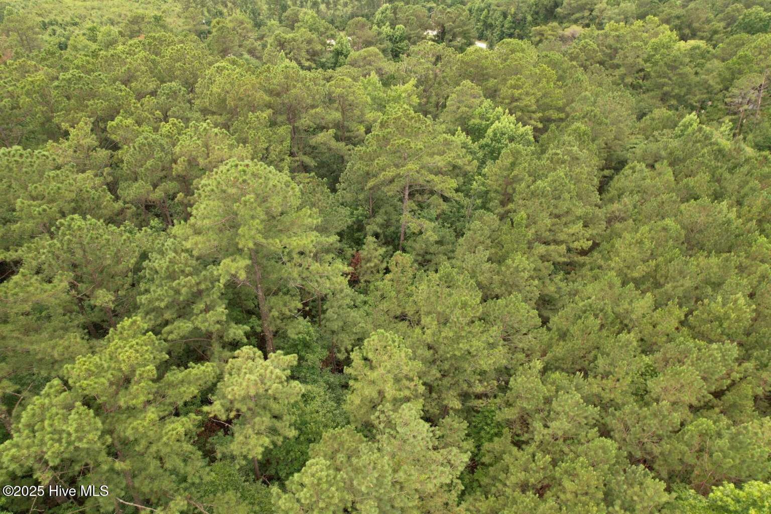 0 Lake Cole Road Midway Park, NC 28544 - Photo 18 of 21 Formosa.17