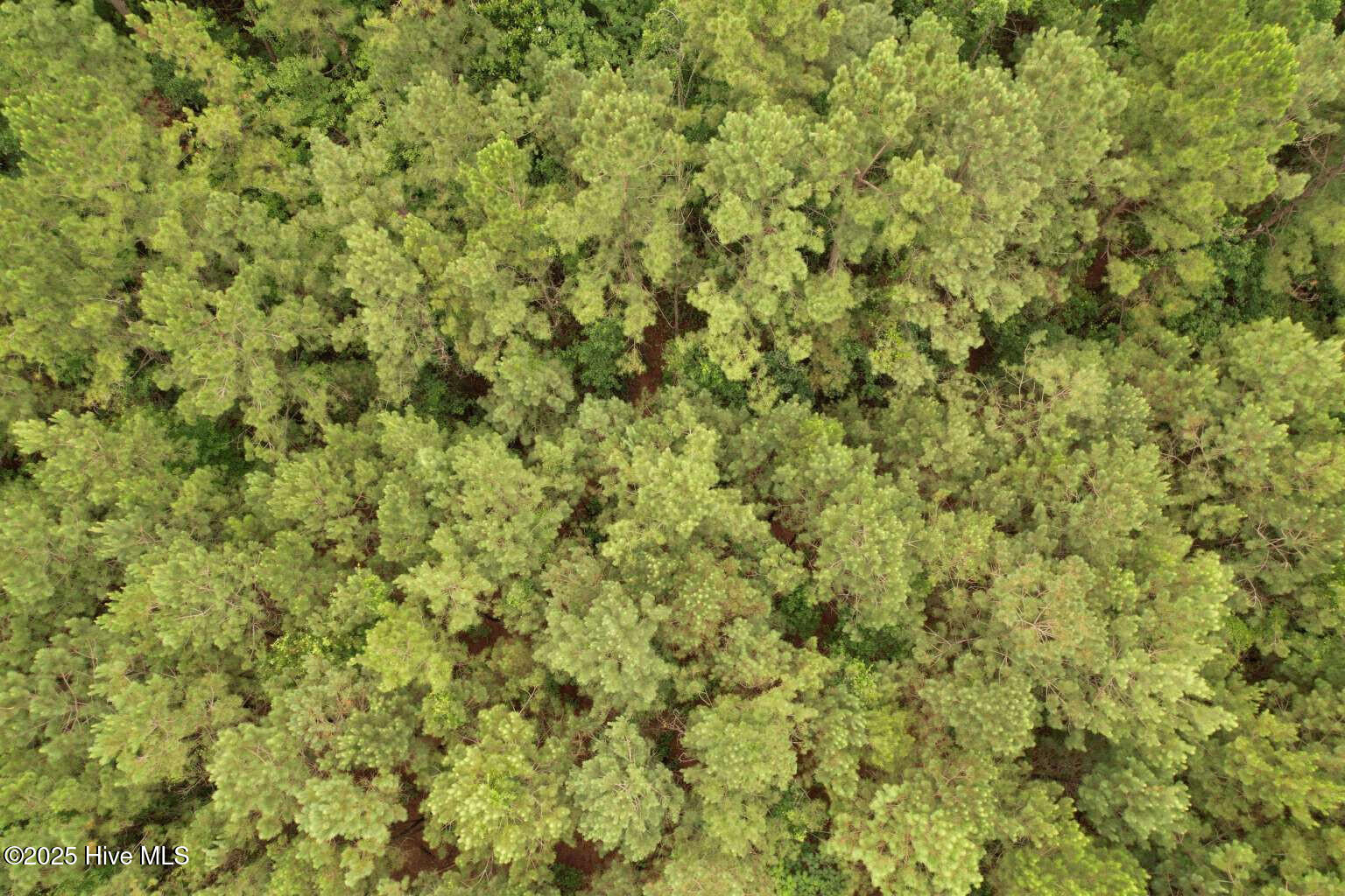 0 Lake Cole Road Midway Park, NC 28544 - Photo 19 of 21 Formosa.18