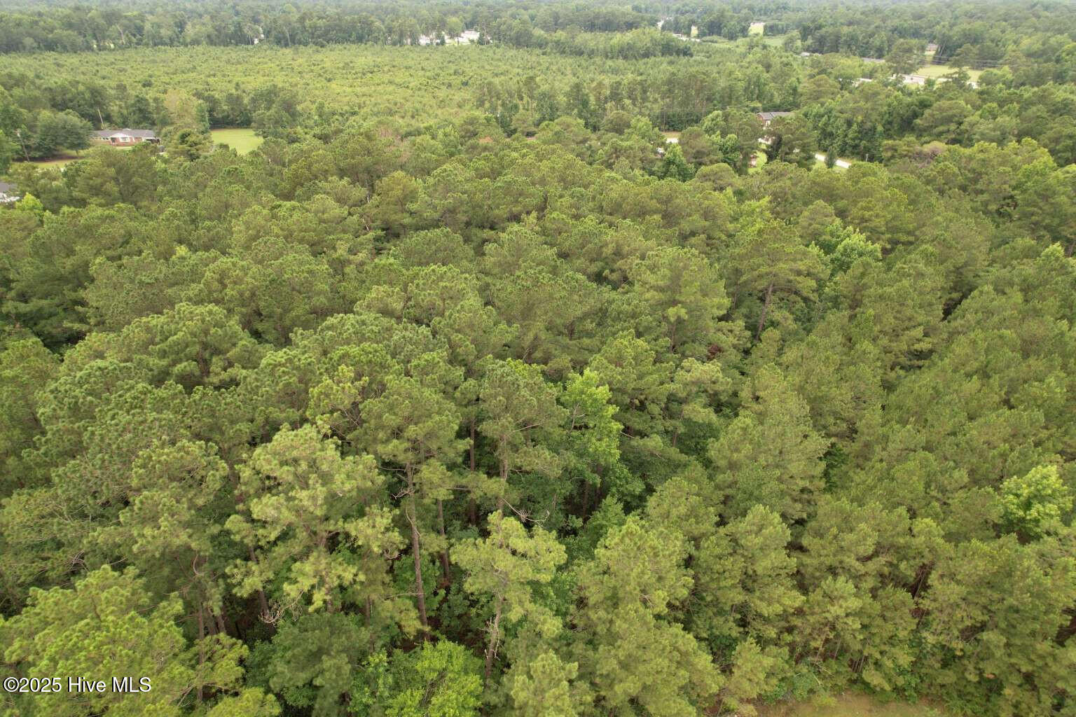 0 Lake Cole Road Midway Park, NC 28544 - Photo 21 of 21 Formosa.20