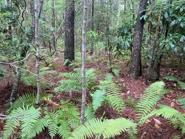 $60,000 | 0 Lake Cole Road, Midway Park, NC 28544