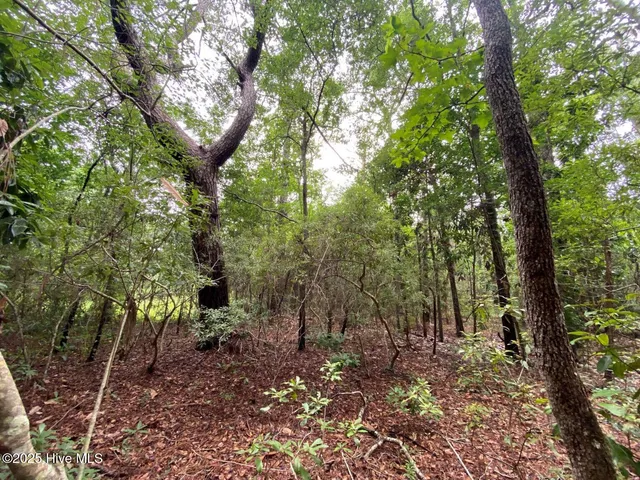 $60,000 | 0 Lake Cole Road, Midway Park, NC 28544