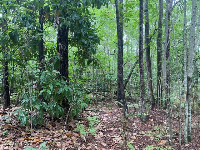 $60,000 | 0 Lake Cole Road, Midway Park, NC 28544