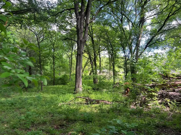 a view of outdoor space and green space