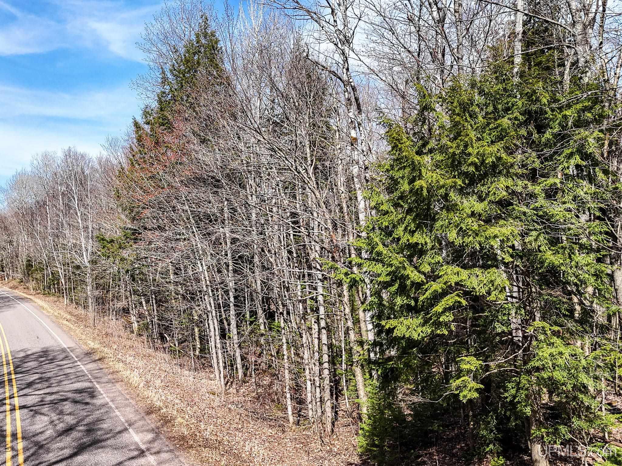 On On Chaney Lake Road Wakefield, MI 49968 - Photo 8 of 10