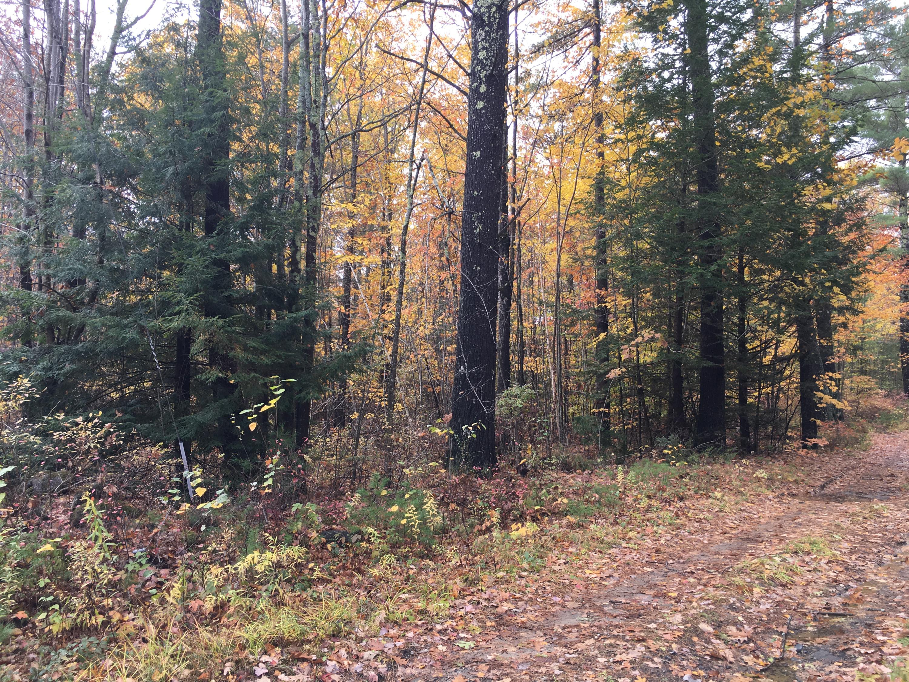 0 Knight Road East Waterboro, ME 04030 - Photo 18 of 20 pic4