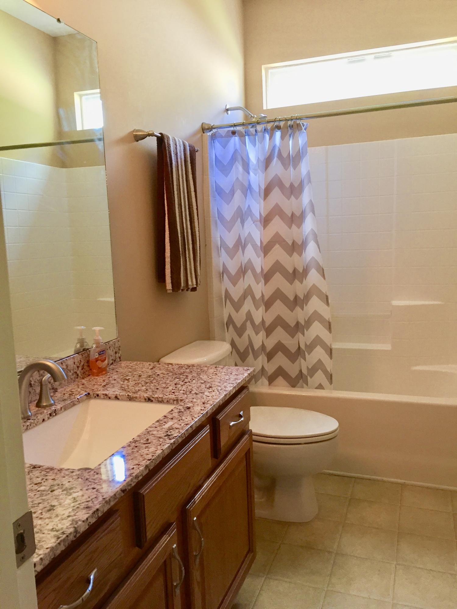102 Harvest Moon Road Moncks Corner, SC 29461 - Photo 18 of 23 Hall Bathroom