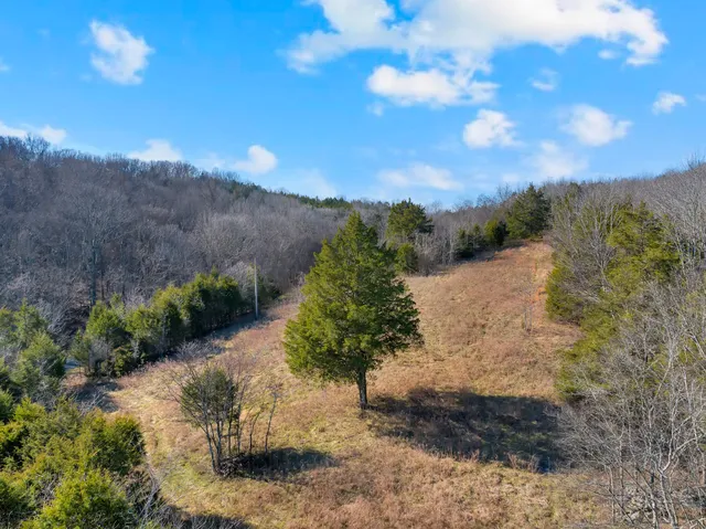$770,000 | 0 Rocky Branch Road, Watertown, TN 37184