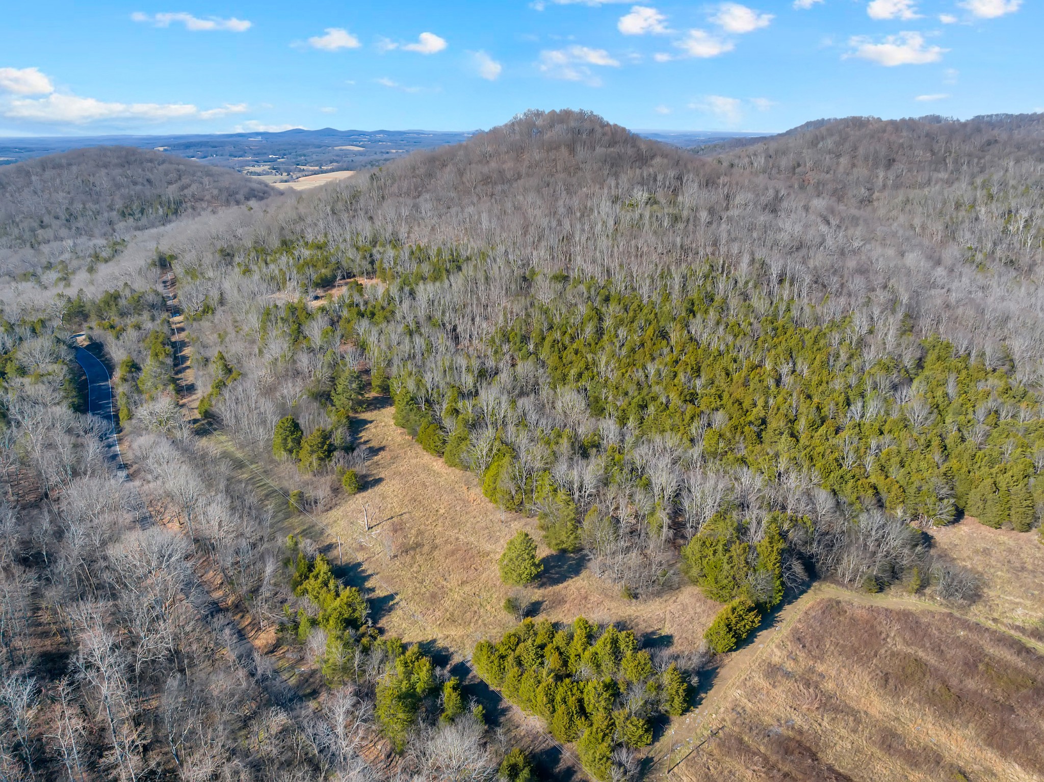 0 Rocky Branch Road Watertown, TN 37184 - Photo 11 of 22