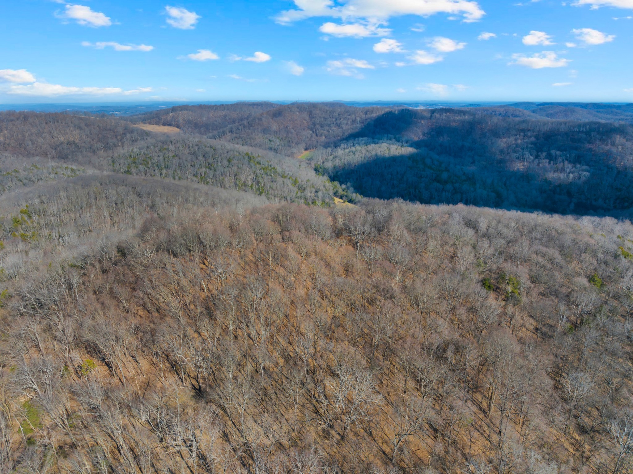 0 Rocky Branch Road Watertown, TN 37184 - Photo 12 of 22