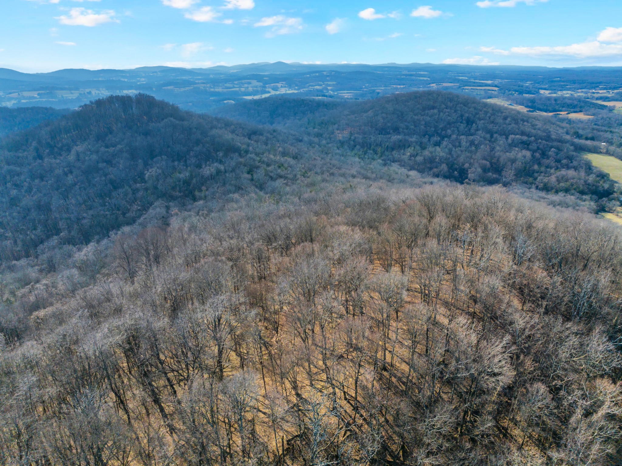 0 Rocky Branch Road Watertown, TN 37184 - Photo 14 of 22