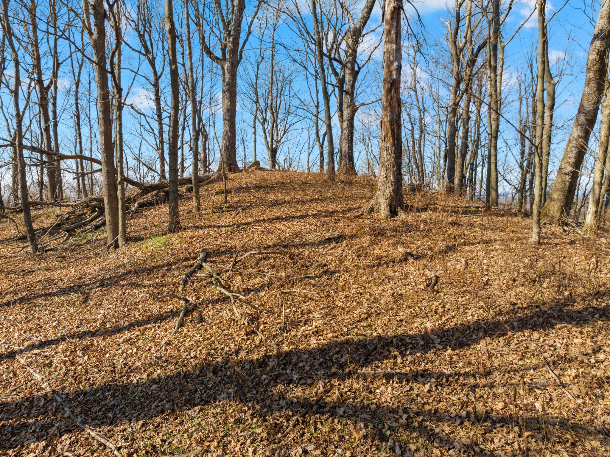 0 Rocky Branch Road Watertown, TN 37184 - Photo 15 of 22
