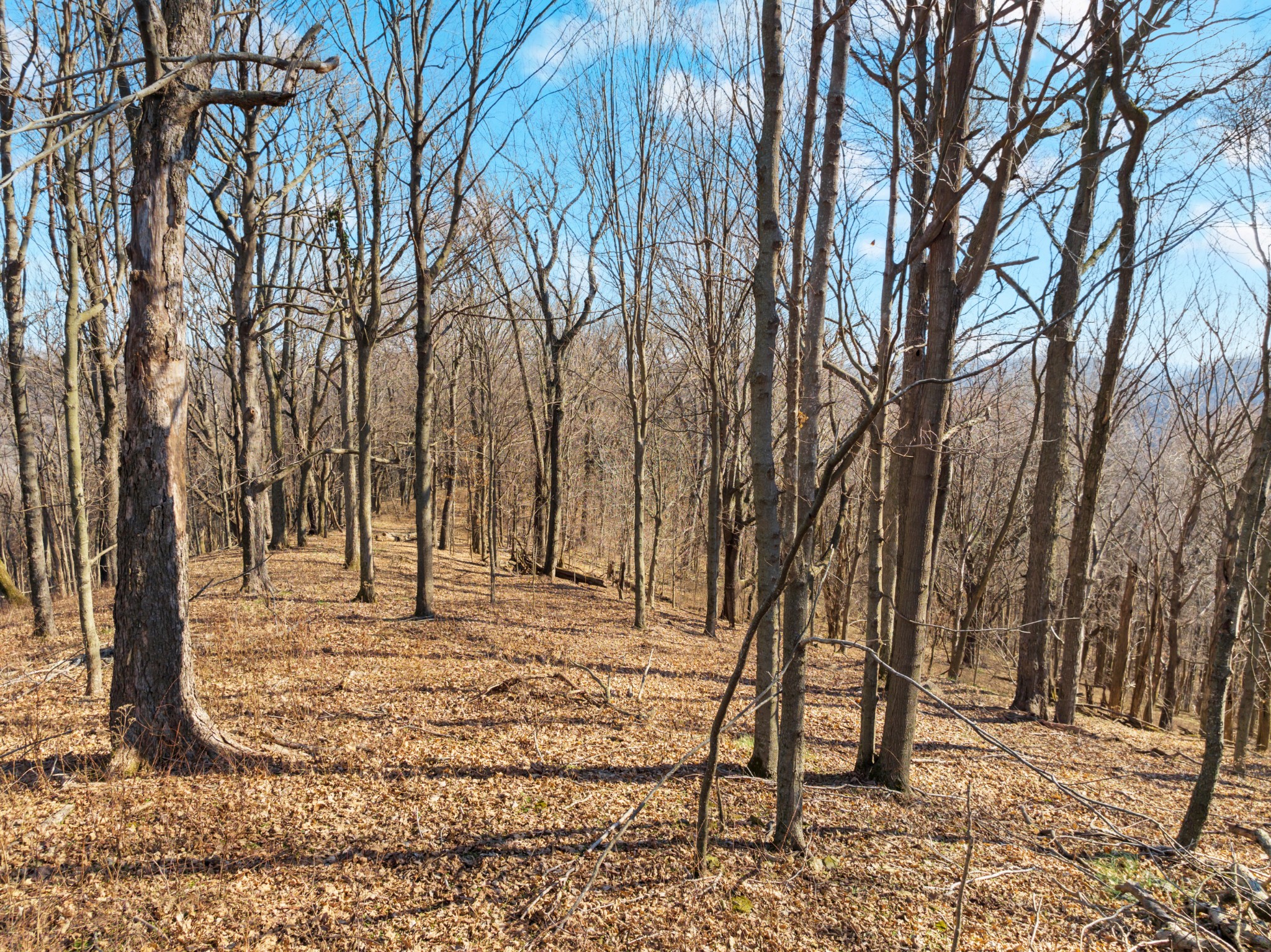 0 Rocky Branch Road Watertown, TN 37184 - Photo 16 of 22