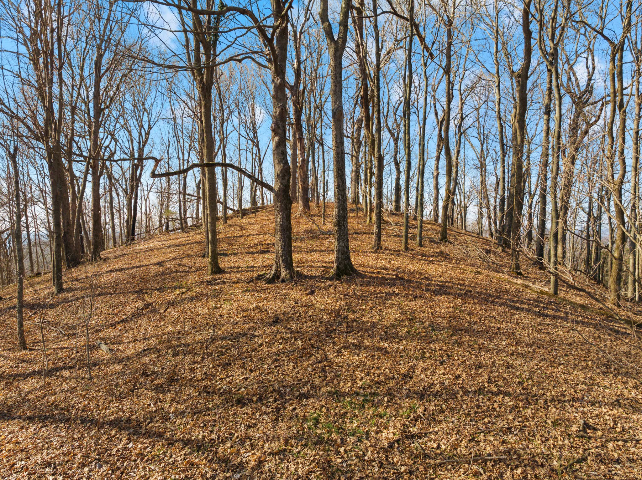 0 Rocky Branch Road Watertown, TN 37184 - Photo 2 of 22