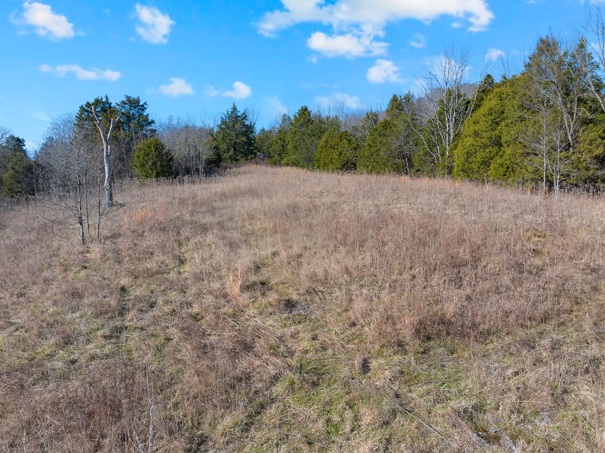 0 Rocky Branch Road Watertown, TN 37184 - Photo 21 of 22