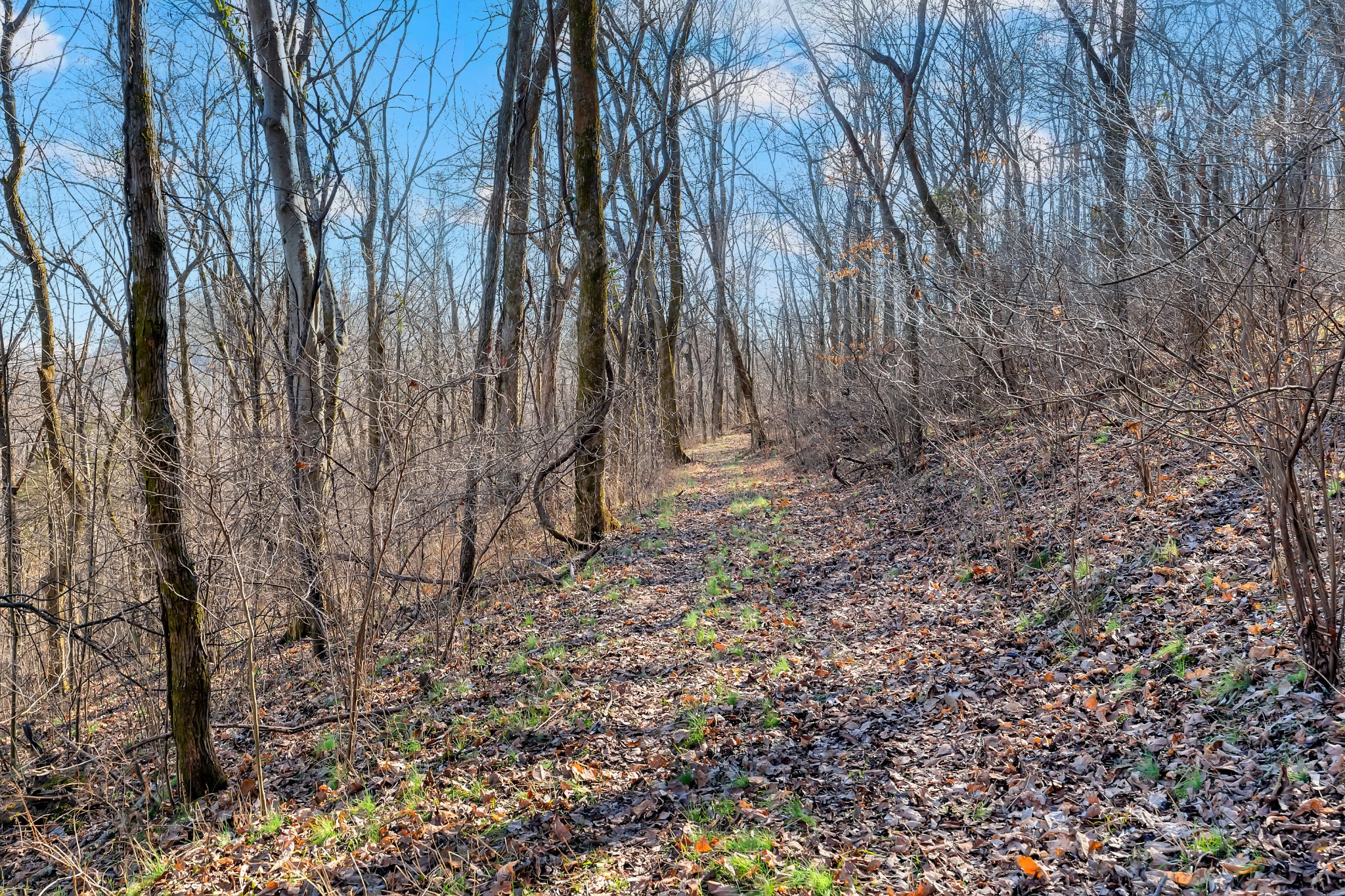 0 Rocky Branch Road Watertown, TN 37184 - Photo 22 of 22