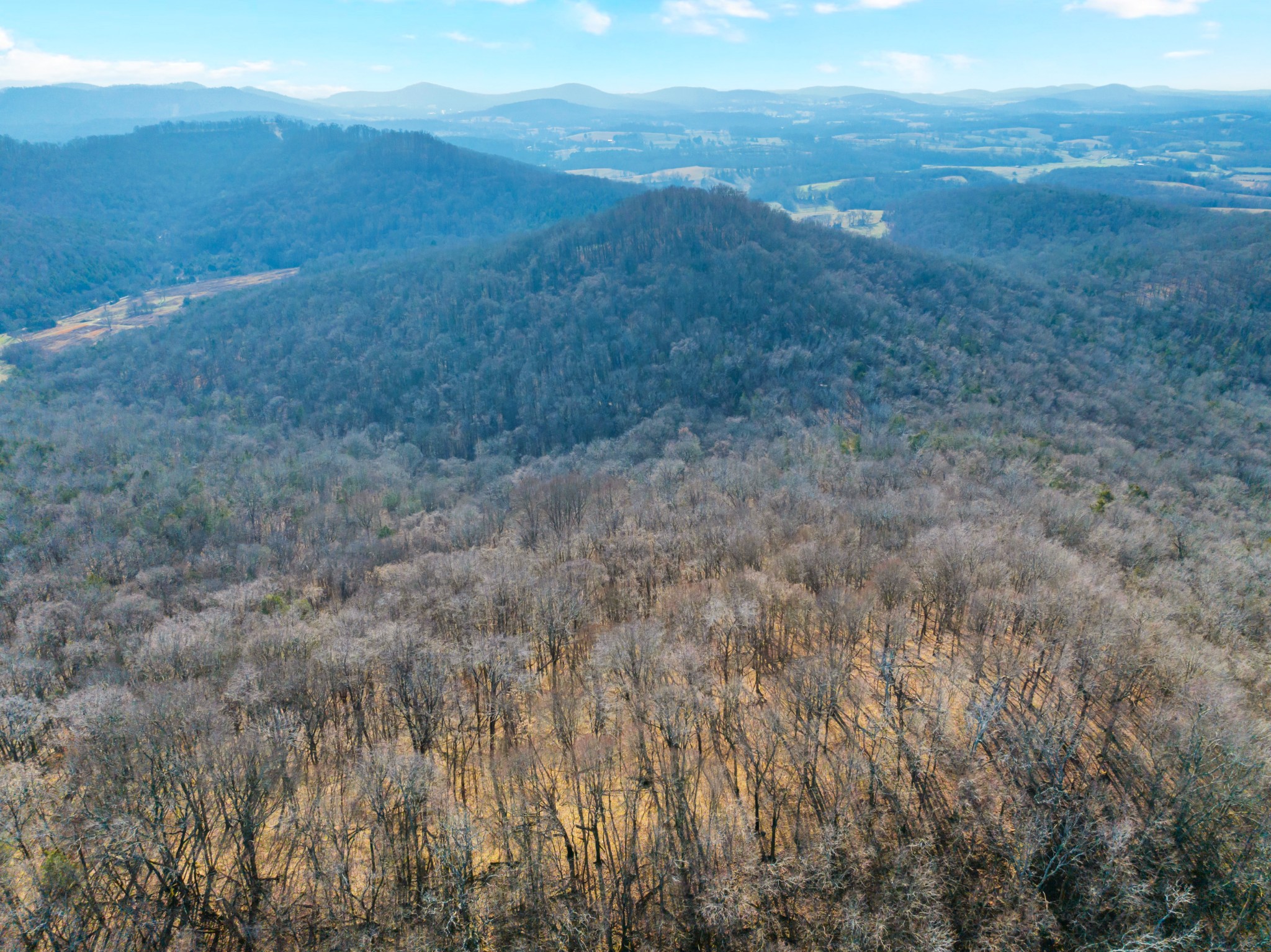 0 Rocky Branch Road Watertown, TN 37184 - Photo 3 of 22