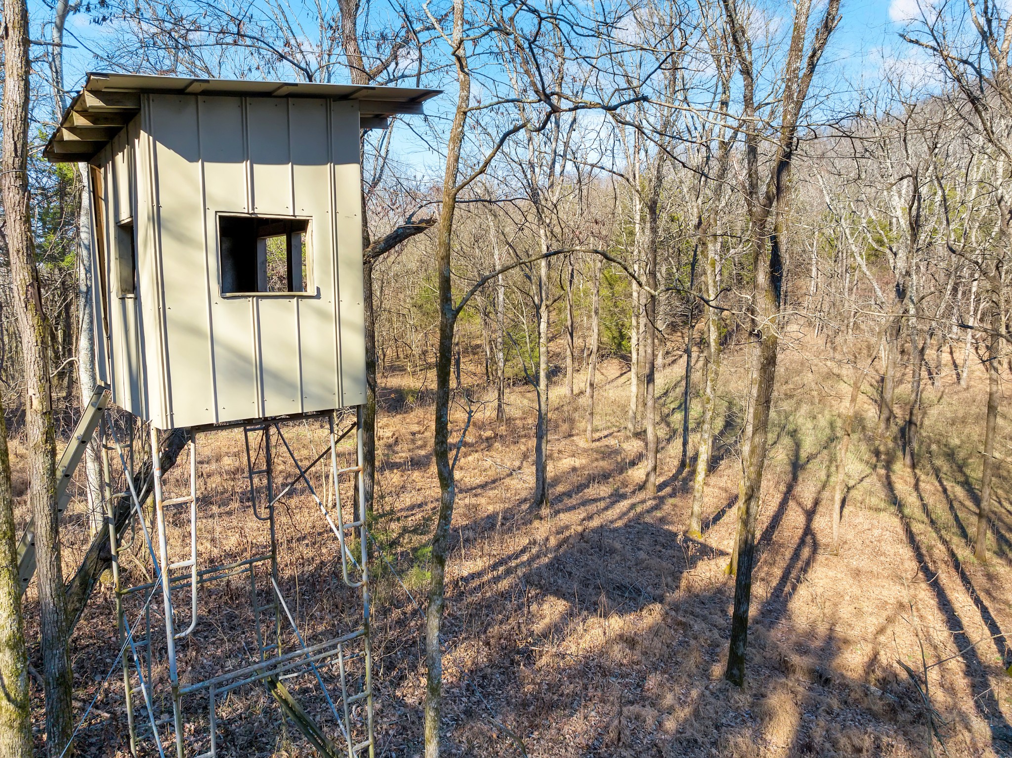 0 Rocky Branch Road Watertown, TN 37184 - Photo 5 of 22