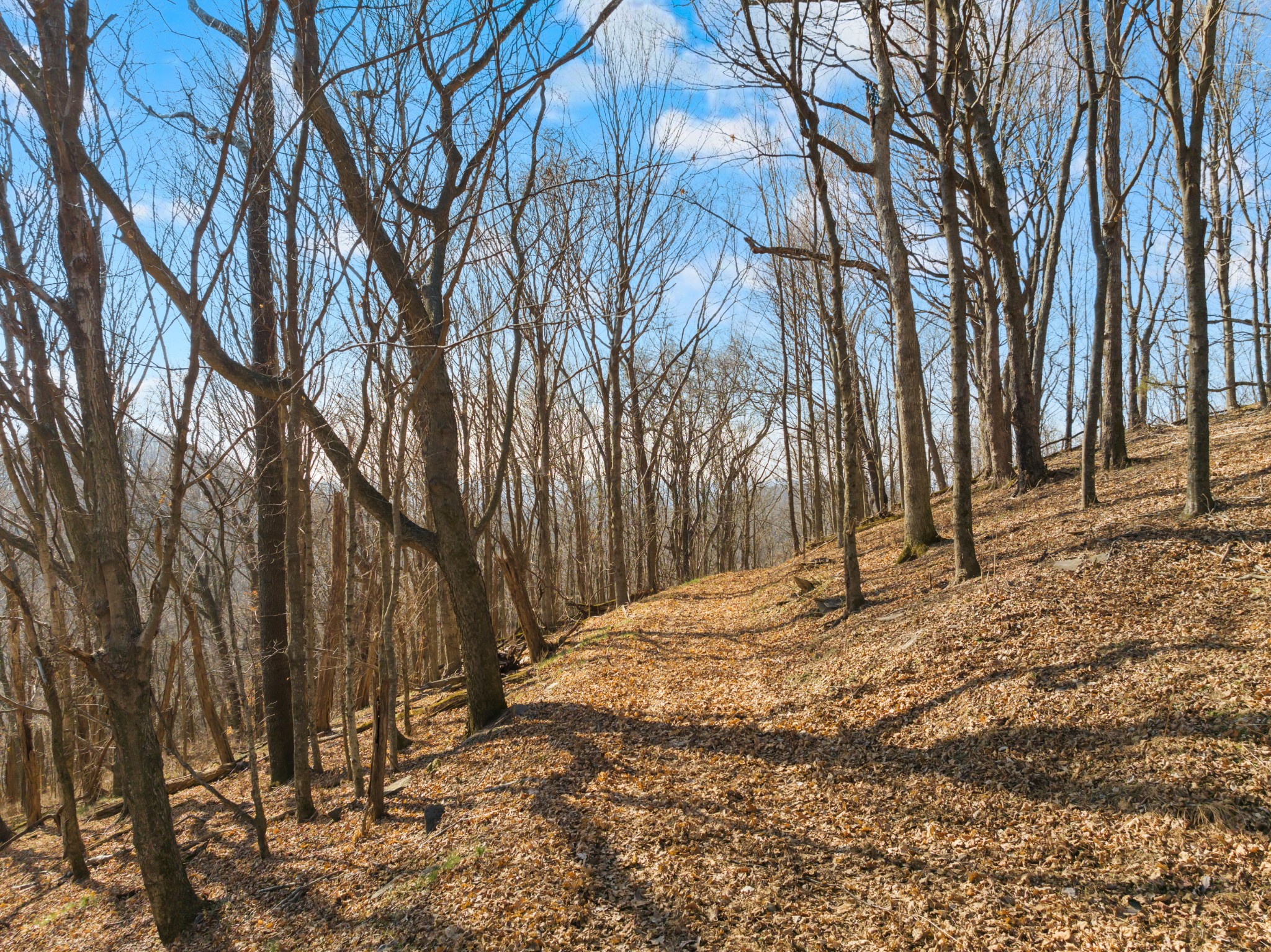 0 Rocky Branch Road Watertown, TN 37184 - Photo 6 of 22
