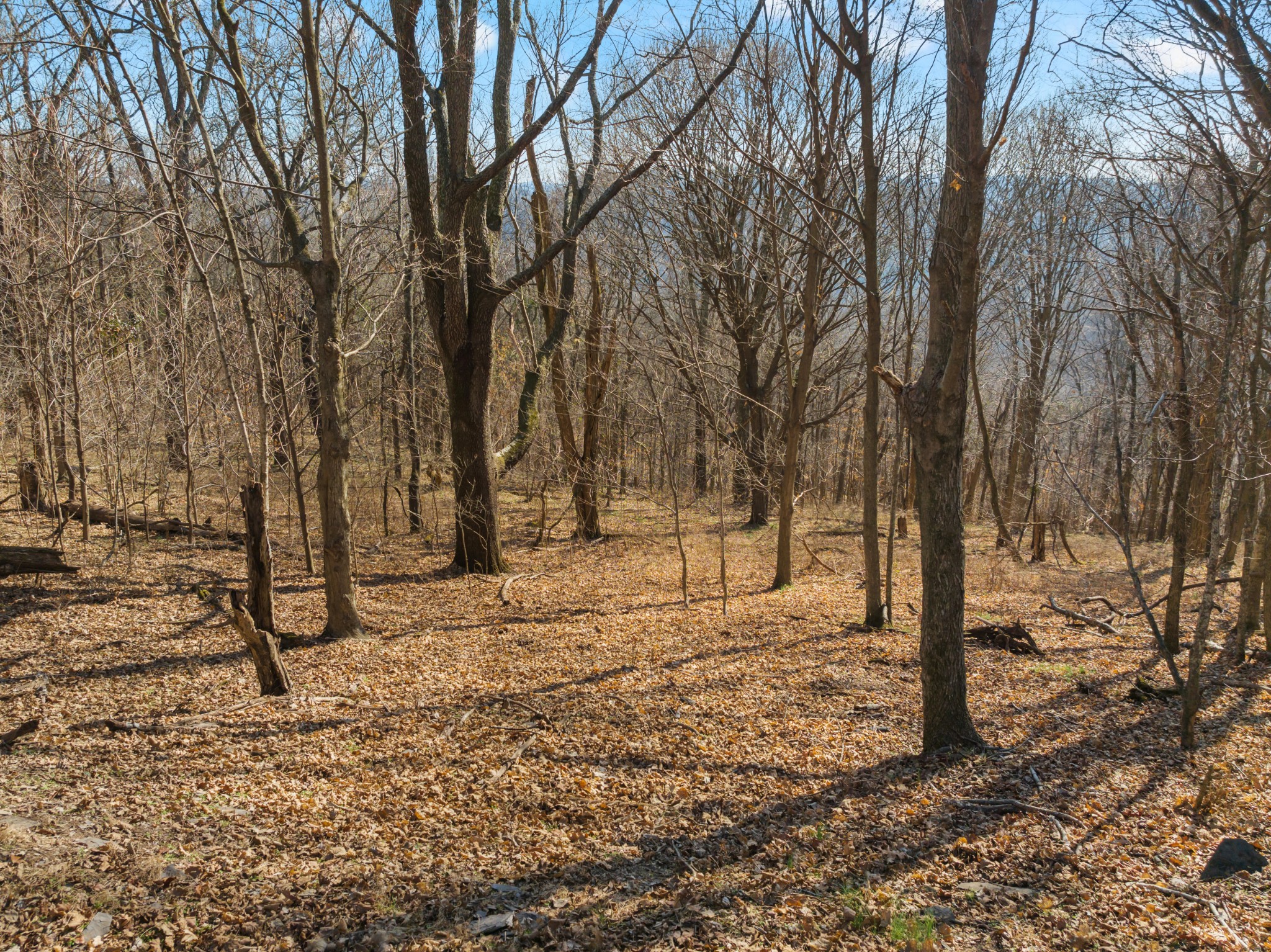 0 Rocky Branch Road Watertown, TN 37184 - Photo 8 of 22