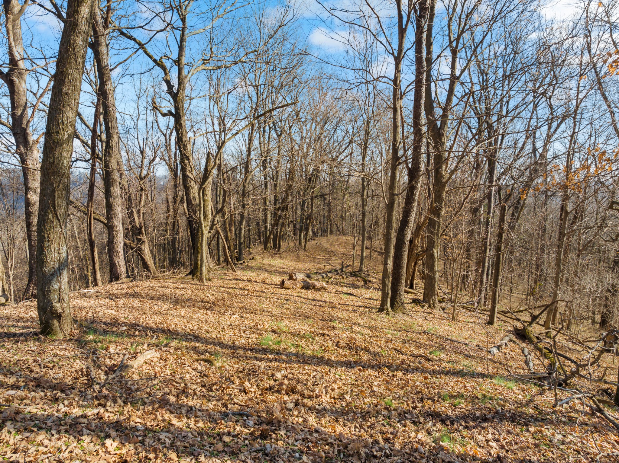 0 Rocky Branch Road Watertown, TN 37184 - Photo 10 of 22