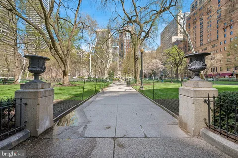 a view of a park with large trees