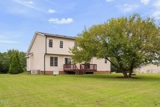 a view of a big yard with plants and large trees