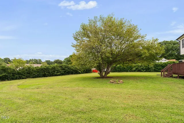a view of green field with large trees