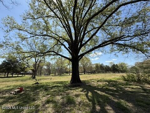 1332 Walker Road Terry, MS 39170 - Photo 18 of 61 D853F2F4-6FF5-41CC-95A0-74C420FBE121_4_5
