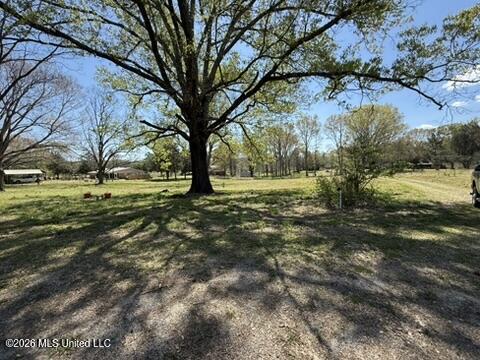 1332 Walker Road Terry, MS 39170 - Photo 40 of 61 274ADED4-2013-4681-8CF5-337C42386A94_4_5