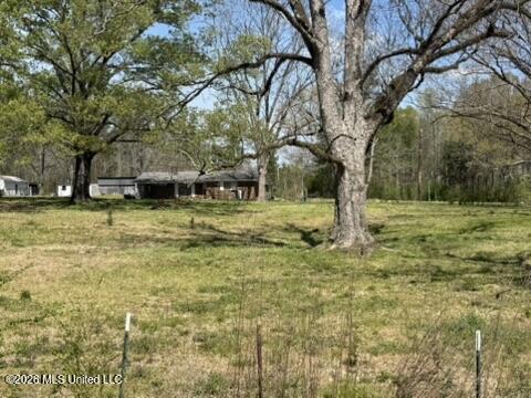 1332 Walker Road Terry, MS 39170 - Photo 41 of 61 92C49AE3-9E06-4C71-80AA-C416FDDA6505_4_5