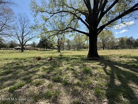 1332 Walker Road Terry, MS 39170 - Photo 45 of 61 22A70683-205E-4B7D-B84E-DA77B2C31ADF_4_5
