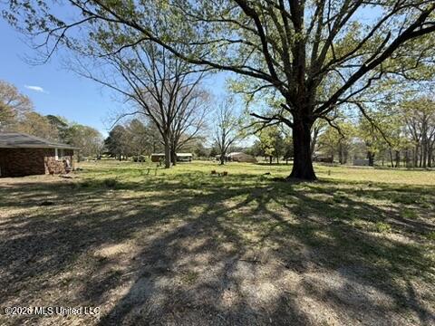 1332 Walker Road Terry, MS 39170 - Photo 61 of 61 0CDCC78A-1507-4BFE-B639-5AC03A2822D5_4_5