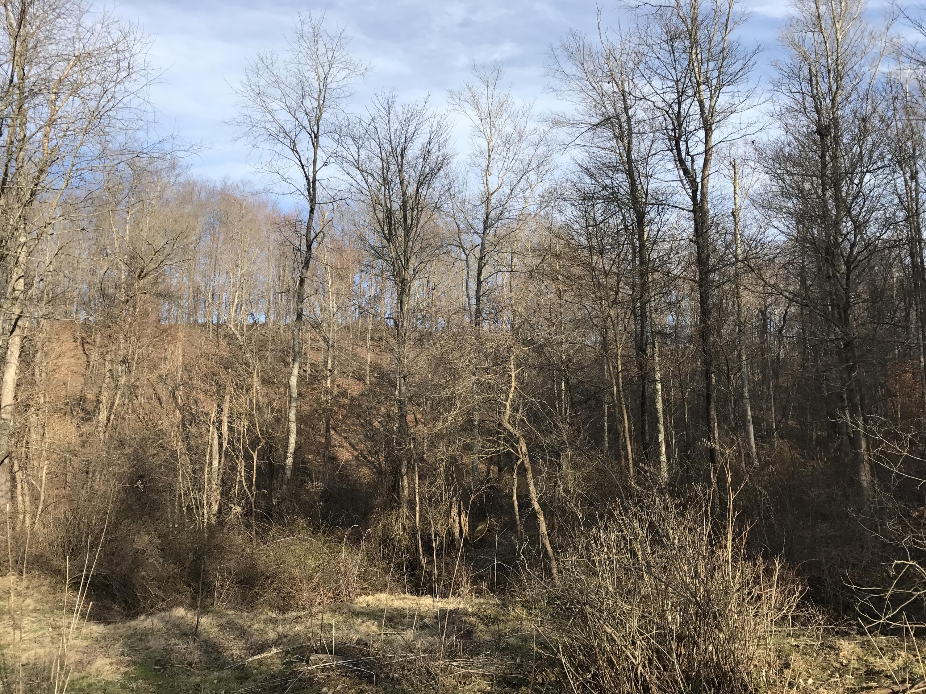 2210 West Point Road Southeast Lancaster, OH 43130 - Photo 18 of 25