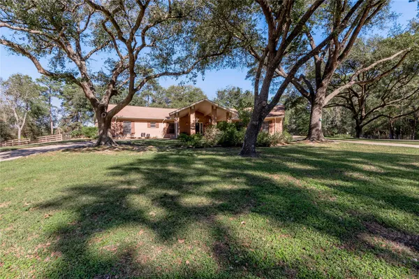 a view of a trees with a big yard