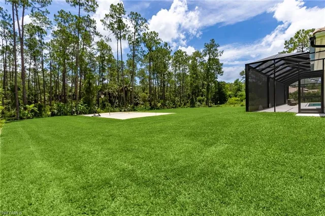 a view of a trees in a yard