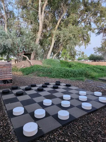 a view of a swimming pool with a yard