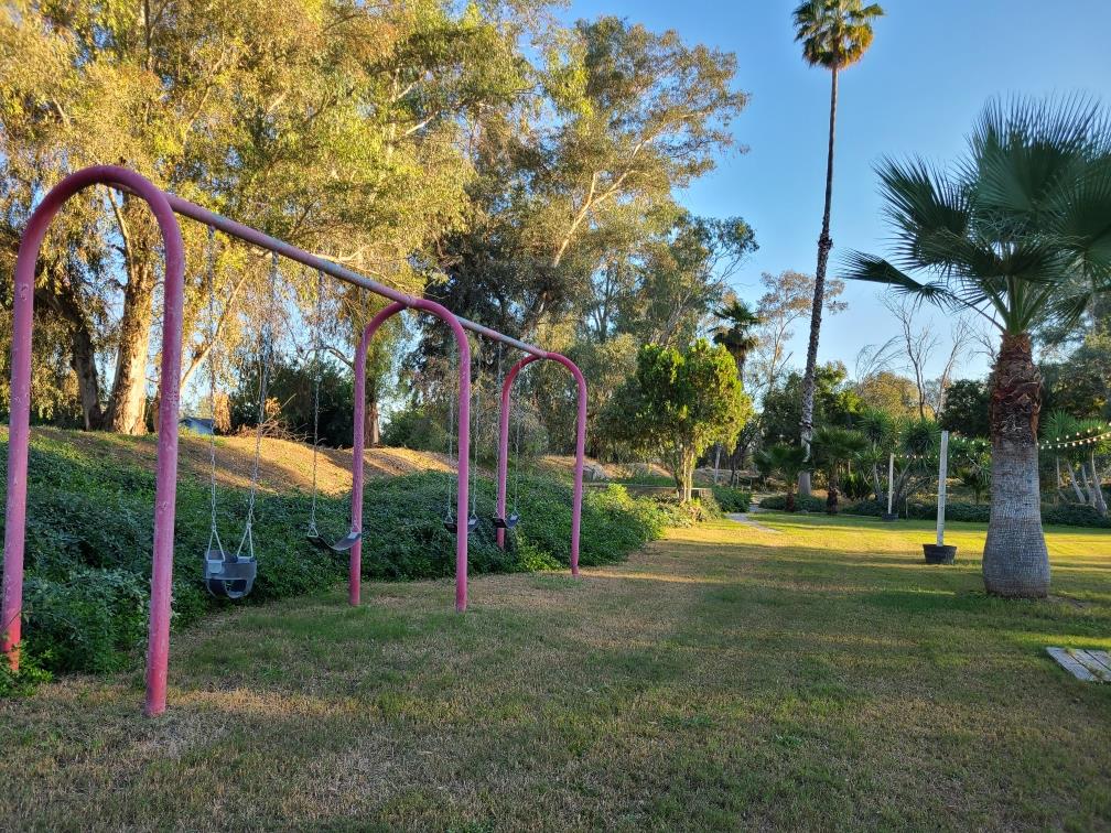 22849 East Jefferson Avenue Reedley, CA 93654 - Photo 25 of 31 a view of a park with large trees