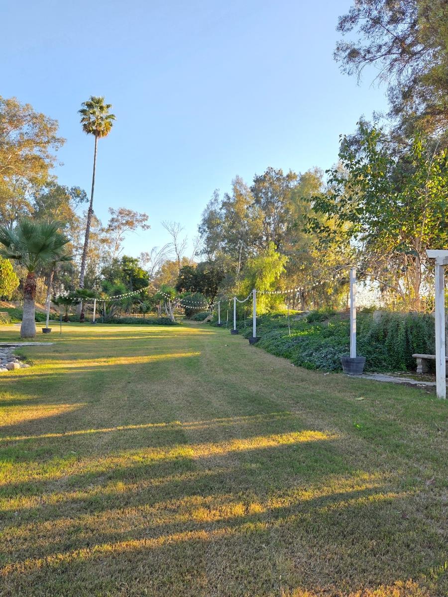 22849 East Jefferson Avenue Reedley, CA 93654 - Photo 26 of 31 a view of a swimming pool with a yard