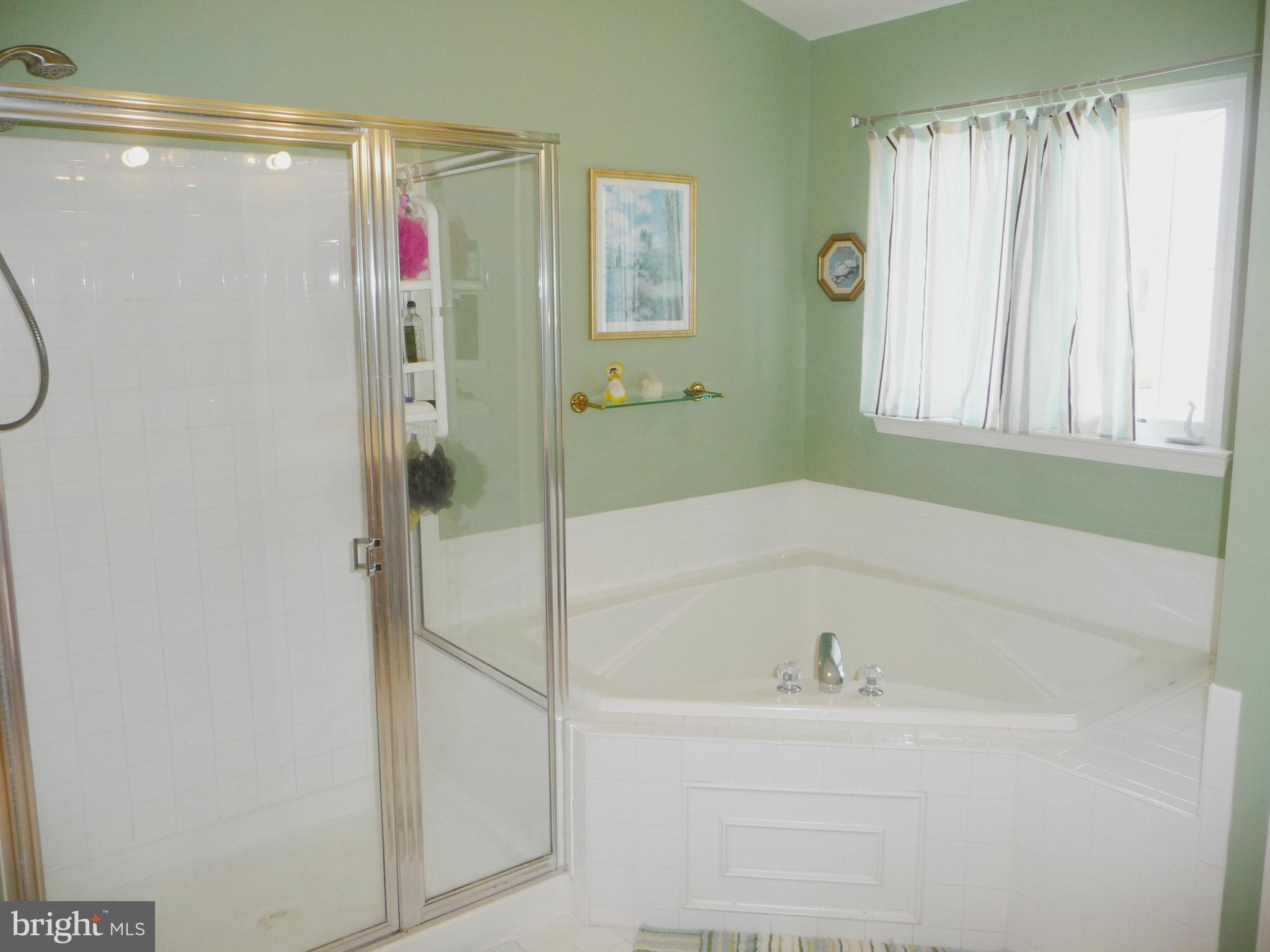 14300 Ashleigh Greene Road Boyds, MD 20841 - Photo 13 of 30 Bath (Master)