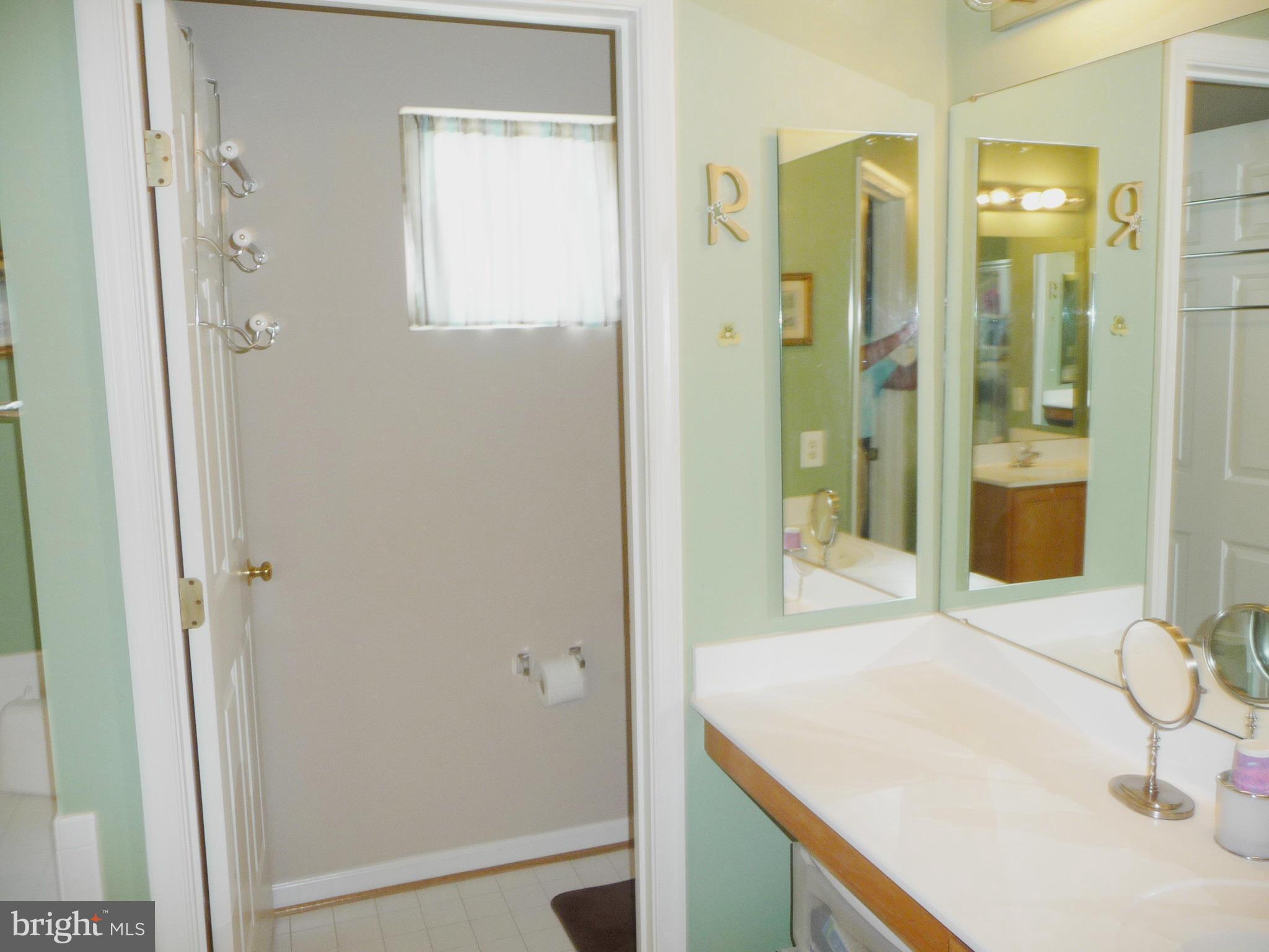 14300 Ashleigh Greene Road Boyds, MD 20841 - Photo 15 of 30 Bath (Master)