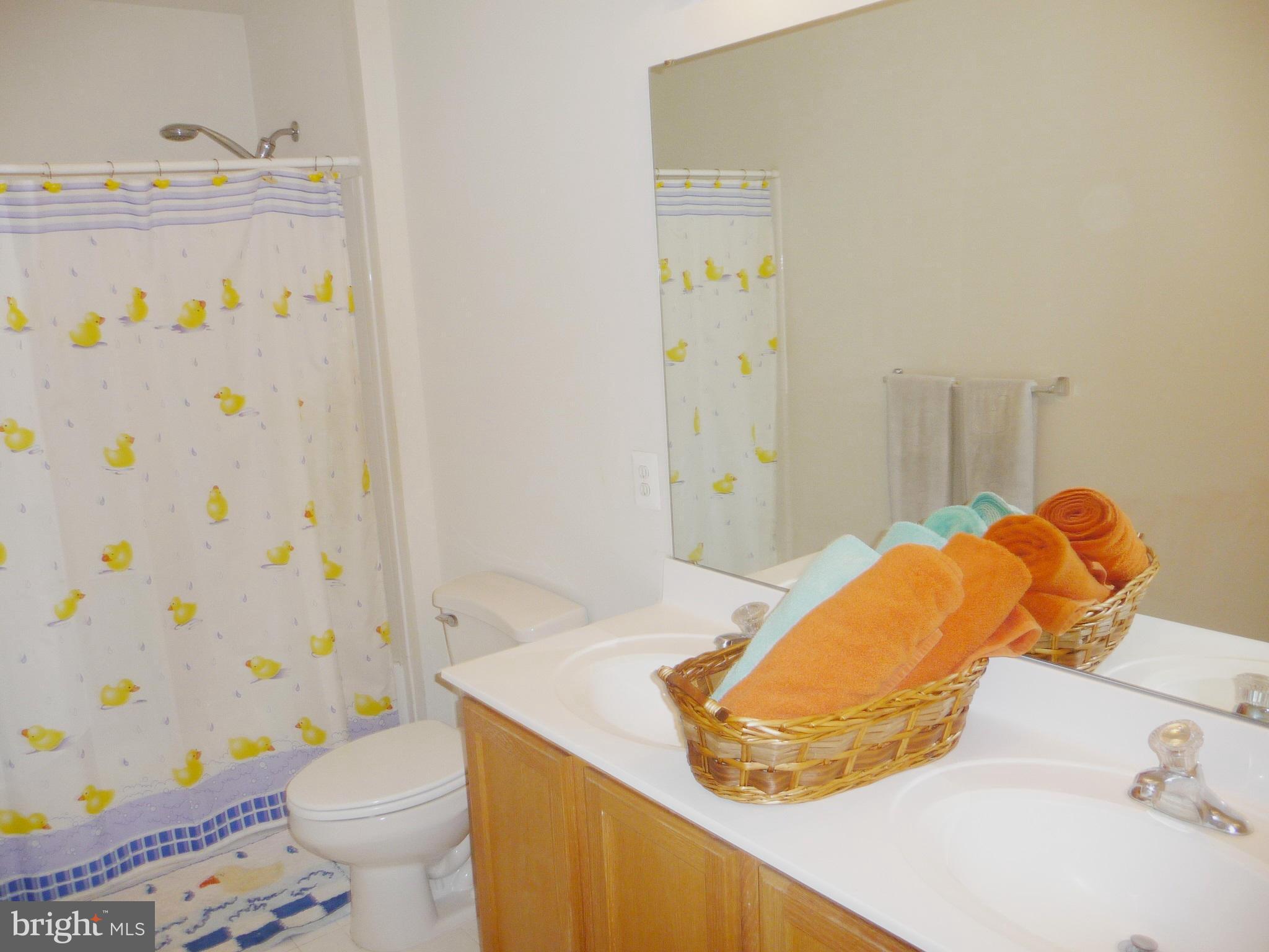 14300 Ashleigh Greene Road Boyds, MD 20841 - Photo 29 of 30 Hall Bath
