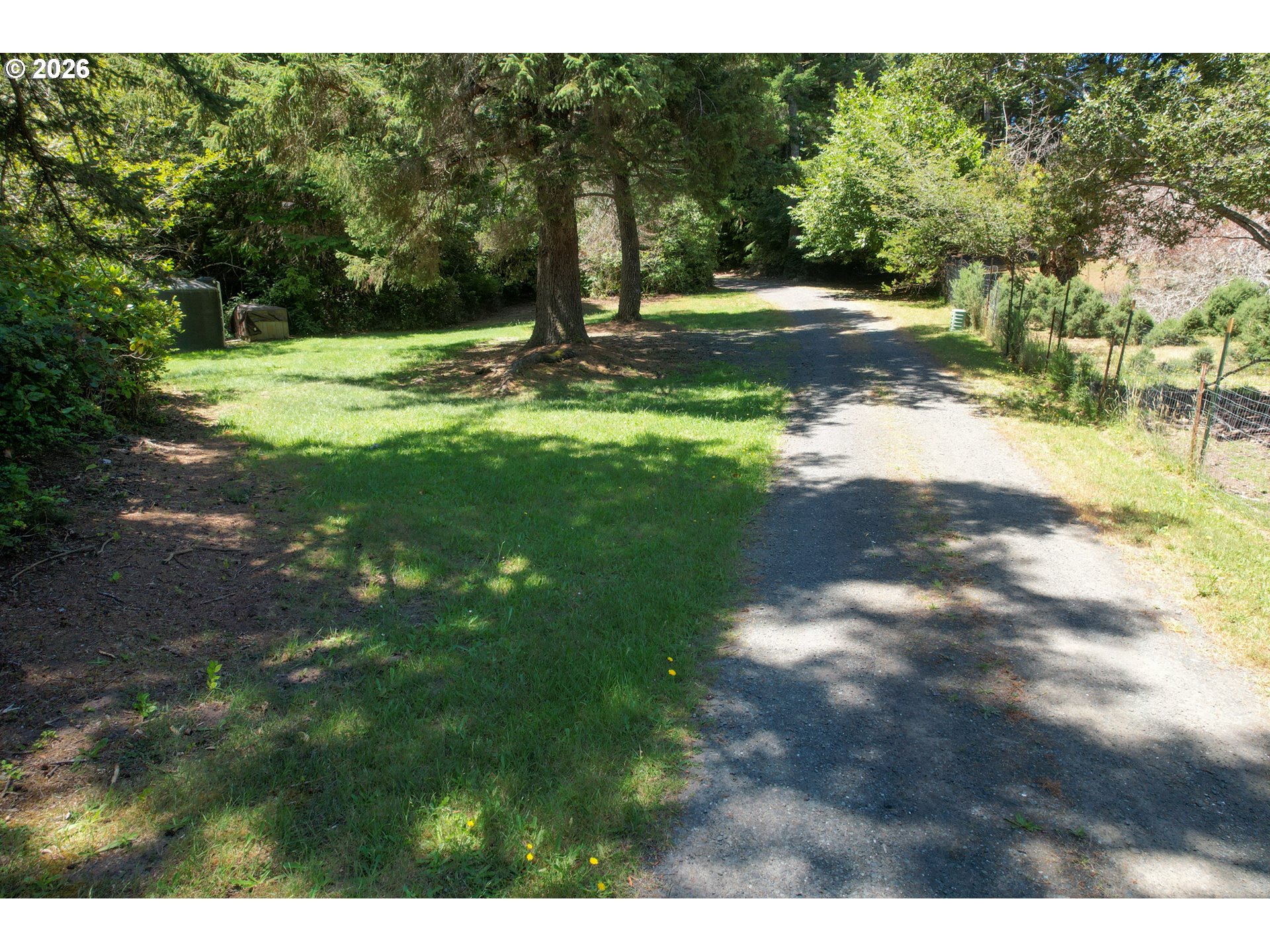 59492 Seven Devils Road Bandon, OR 97411 - Photo 45 of 48 a view of a yard with a tree