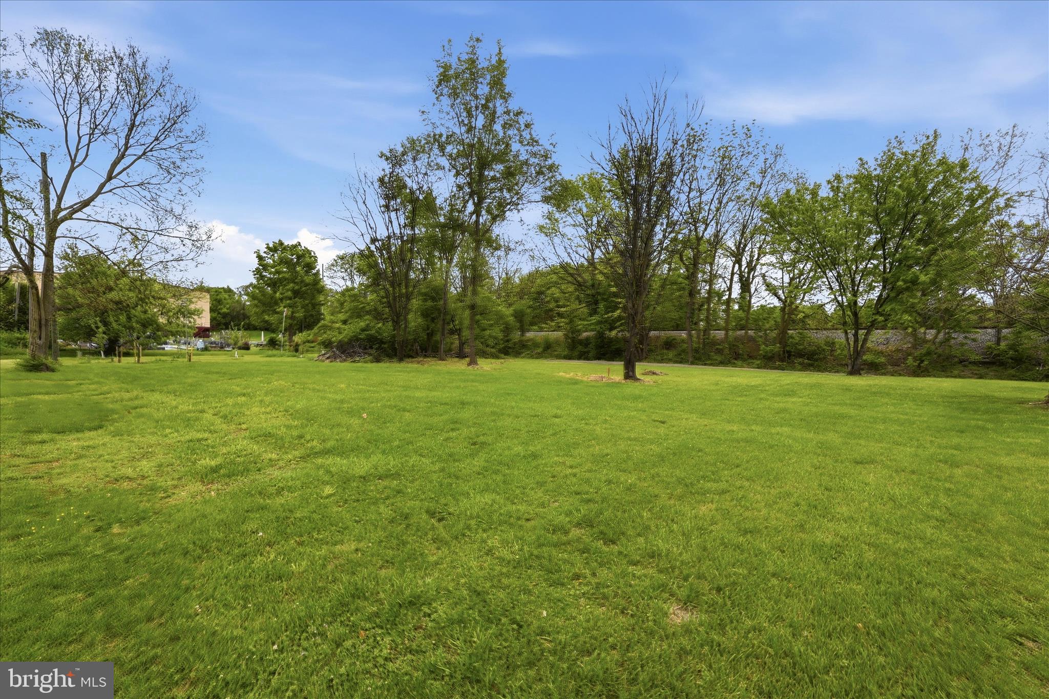 415 McDonald Street Ranson, WV 25438 - Photo 5 of 16 a view of a field with trees