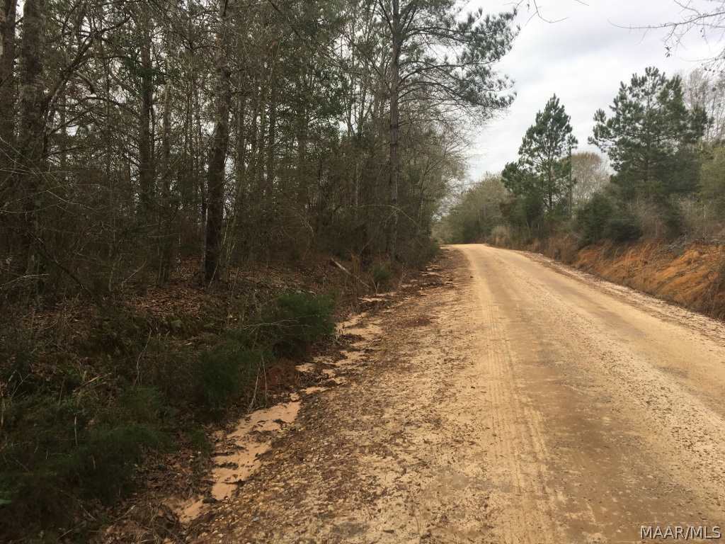 12 Acres Crockett Road Samson, AL 36477 - Photo 1 of 9 Gallery Image 1