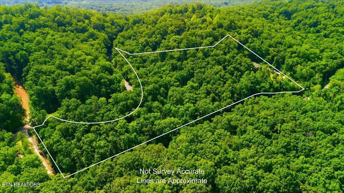 111 Eagle Ridge Road Kingston, TN 37763 - Photo 46 of 52 45-Aerial